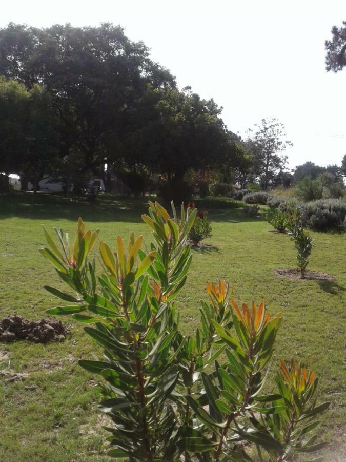 Villa Guinea Fowl à Plettenberg Bay Extérieur photo